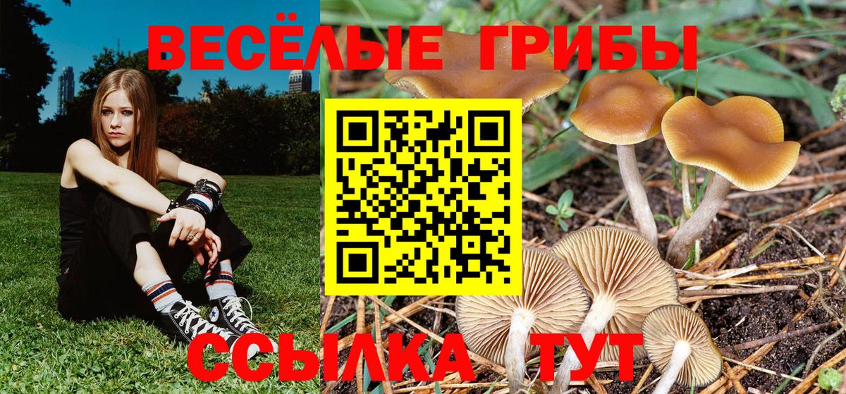 Галлюциногенные грибы GOLDEN TEACHER  Вход с VPN  Новочебоксарск 